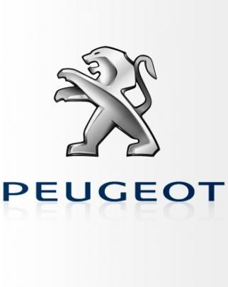 Camere Marsarier Peugeot